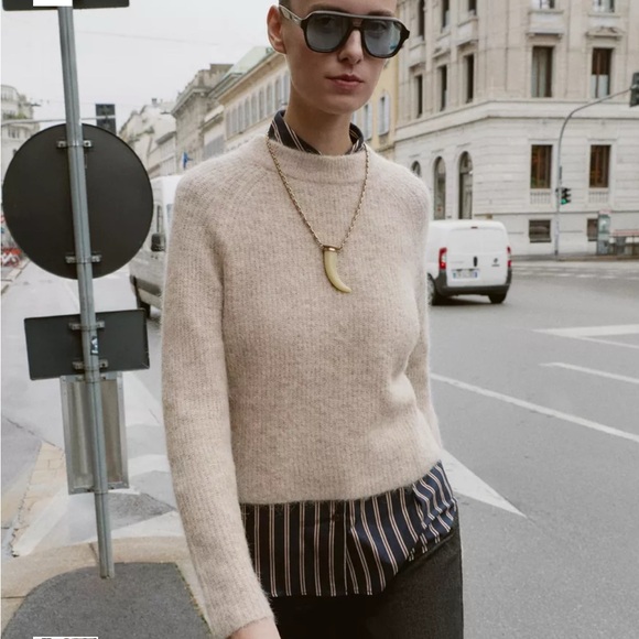 ZARA WOOL AND ALPACA Crewneck Long Sleeve Sweater Size L NWT - Picture 2 of 6